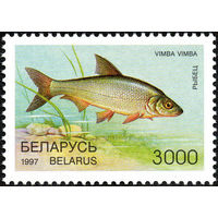 Редкие виды рыб водоемов Рыбец Беларусь 1997 год 1 марка