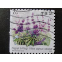 Мальта 2003 цветы
