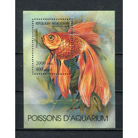 Республика Мадагаскар - 1994 - Рыбки - [Mi. bl. 263] - 1 блок. MNH.  (Лот 93EW)-T25P4