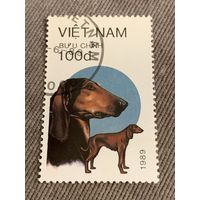 Вьетнам 1989. Охотничьи породы собак. Марка из серии