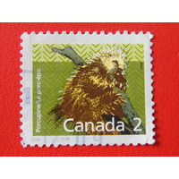 Канада 1988 г. Фауна.