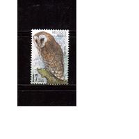 Бельгия-1999,(Мих. 2857) гаш. ,   Фауна, Птицы, Совы