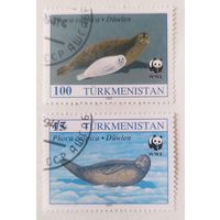 Туркменистан 1993, Тюлени