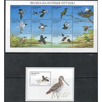 Водно-болотные птицы Беларусь 1996 год (191-203) серия из малого листа (12 марок) и 1 блока
