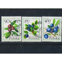 Польша ПНР 1977 Лесные ягоды Брусника Черника Терн #2488,2490,2492