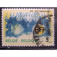 Бельгия 1975 100 лет фонду DF, символика