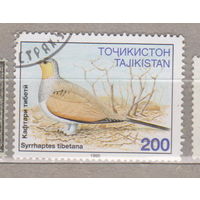 Птицы Фауна  Таджикистан  1995 год лот 1077