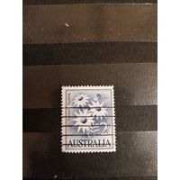 1959 Австралия флора цветы (3-1)
