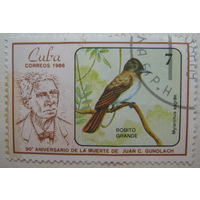 Куба марка 1986 г. 90-летие со дня смерти орнитолога Хуана К. Гундлаха