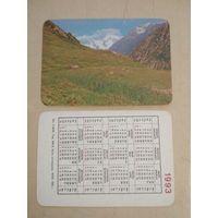 Карманный календарик. Флора. 1993 год