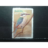Австралия 2010 Птица