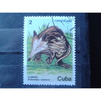 Куба 1984 Фауна
