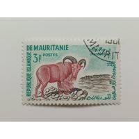 Мавритания 1960. Местные мотивы. Муфлон