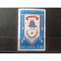 Швеция 1979 100 лет движения за трезвость, вымпел организации