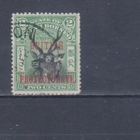 [154] Британские колонии. Северное Борнео 1901-02. Фауна.Олень. НАДПЕЧАТКА. Гашеная марка.