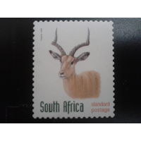 ЮАР 1998 стандарт, антилопа