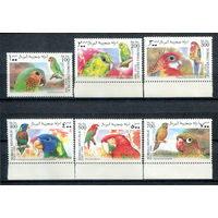 Сомали - 1999г. - Попугаи - полная серия, MNH - 6 марок