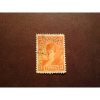 Британский Ньюфаундленд  1898 г.Королева Александра, принцесса Уэльская. /32а/