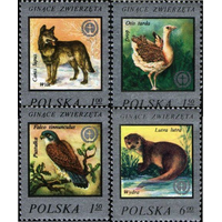 Марка Польша 1977 год  Фауна  Серия из 4-х марок.