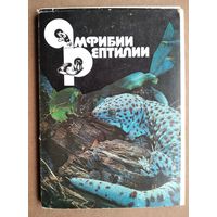 Набор открыток "Амфибии. Рептилии". 1989 г. 22 откр.