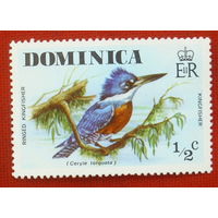 Доминика. Птицы. ( 1 марка ) 1976 года. 8-15.