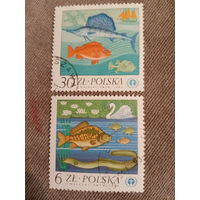 Польша 1982. Промысловые рыбы