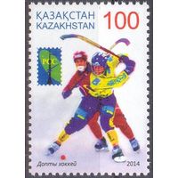 Казахстан 2014 космос РСС спорт хоккей с мячом клюшка