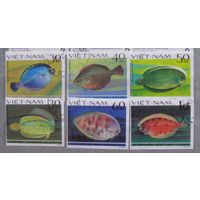 Набор марок с рыбами (камбала), беззубцовые марки, Вьетнам, 6 шт.