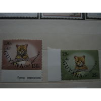 Марки - Гайана фауна дикие кошки 2 марки