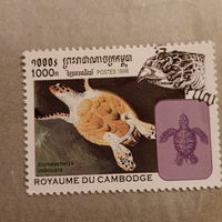 Камбоджа 1998. Черепахи