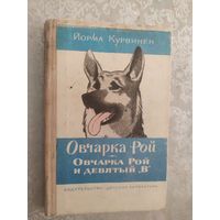 Овчарка Рой и девятый В\019