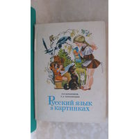 Баранников И.В., Варковицкая Л.А. "Русский язык в картинках", 1983г.