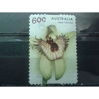 Австралия 2014 Орхидея Михель-1,2 евро гаш