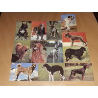 Календарики 1993 Страховая компания "Инкомрезерв". Собаки. Полная серия 12 шт. по месяцам одним лотом