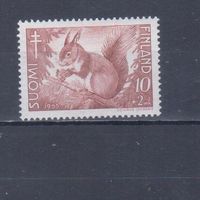 [2187] Финляндия 1953. Фауна.Белка. MNH