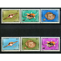 Мадагаскар - 1973г. - Морские раковины - полная серия, MNH, 1 марка с полосами на клее [Mi 675-680] - 6 марок