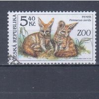 [716] Чехия 2001. Фауна зоопарка.Фенек. Гашеная марка.