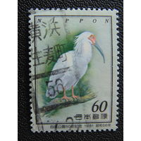 Япония 1981 г. Птицы.