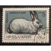 Фауна, Болгария, 1986 год, Кролики.
