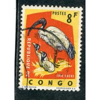 Конго. Фауна. Священный ибис