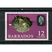 Британские колонии - Барбадос - 1965/1967 - Морская фауна 12С - [Mi.242X] - 1 марка. MH.  (Лот 75Dh)