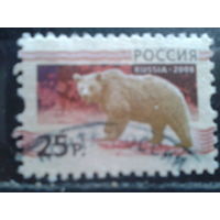 Россия 2008 Стандарт, медведь 25 руб концевая