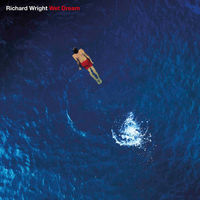 Виниловая пластинка Richard Wright - Wet Dream.