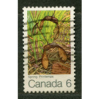 Флора. Семена клена. Канада. 1971. Полная серия 1 марка