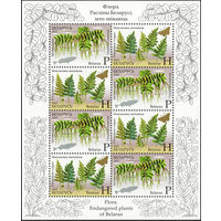 Исчезающие растения Беларусь 2012 год (943-944) серия из 2-х марок в малом листе