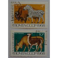 СССР.1968.зоопарк Аскания-Нова .животные