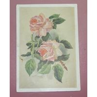 Почтовая карточка "Роза розовая" 1958г. подписанная худ. И.Романов