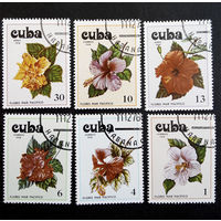 Куба 1978 г. Цветы. Флора. полная серия из 6 марок #0062-Ф1