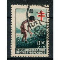 Югославия - 1938г. - югославская лига против туберкулёза - 1 марка - гашёная. Без МЦ!