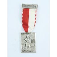 Швейцария, Памятная медаль 1993 год.  (1384)